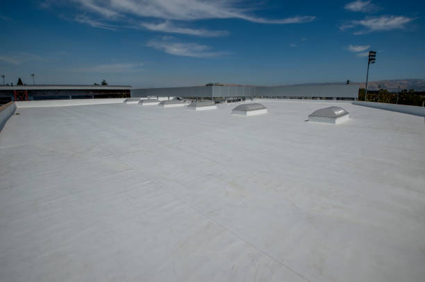 Best Rubber Roofing (EPDM, TPO)  in Joanna, SC